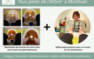 Votre programme détox Aux pieds de l'Arbre à Montluel