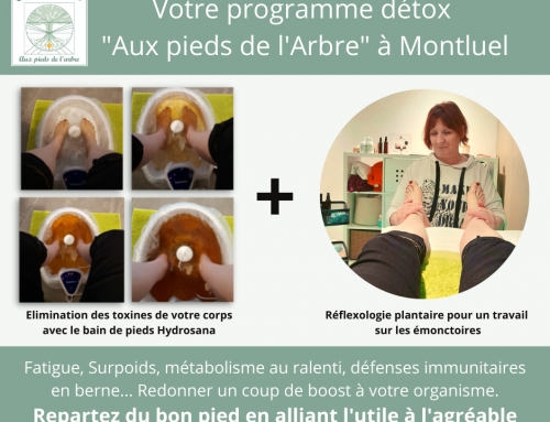 Fatigue, surpoids, insomnie, défenses immunitaires en berne… pensez au programme détox Aux Pieds de l’Arbre à Montluel